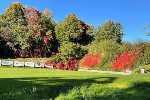 Puttinggrün Puttinggrün