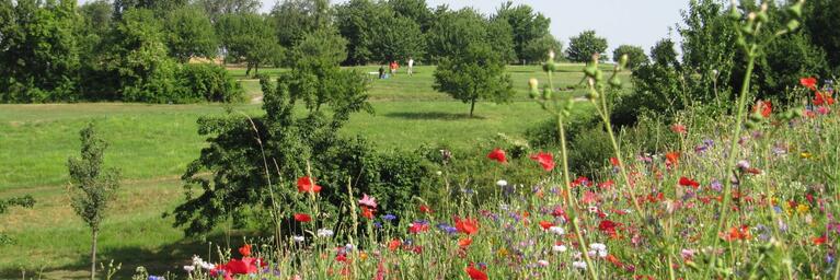 Golf & Natur